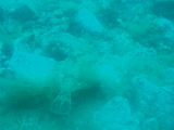 P7290011