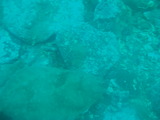 P7290009
