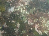 P8200038