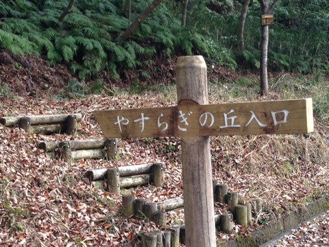 2014-11-30-13-01-15