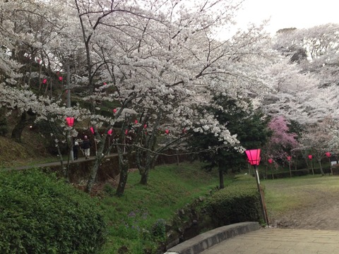 2014-03-31-17-41-07