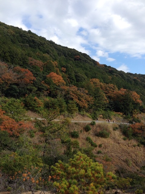 2014-11-30-12-49-19