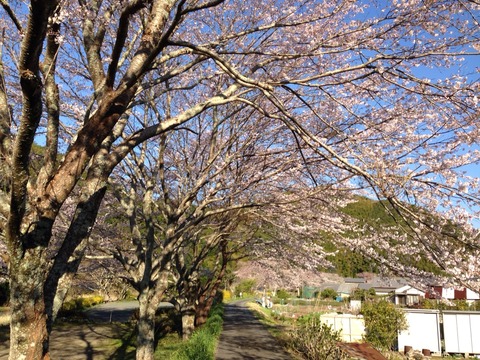 2014-03-31-07-10-46