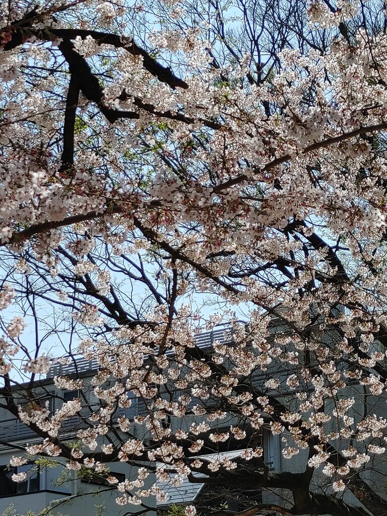 フランチャイズ地獄からの脱出 藤原義塾からの報告書 フランチャイズ問題 フランチャイズ地獄からの脱出 藤原義塾からの報告書 フランチャイズ問題