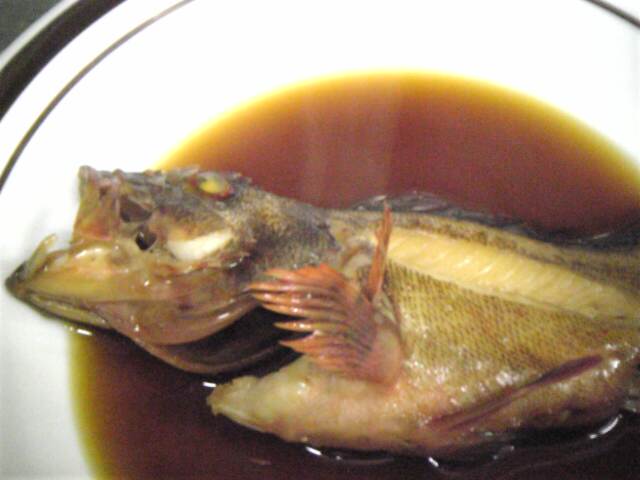 加太の地魚煮付け ガシラ カサゴ アラカブ 白兎のつぶやき