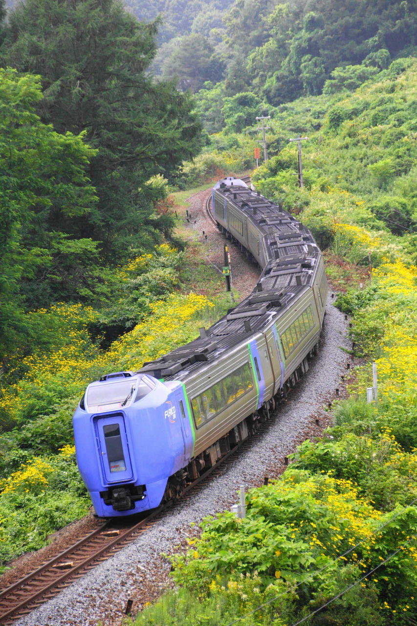 夏の北海道へ 5 宇宙軒カーブ Df0貨物 特急北斗 臨時北斗 Fujiyan Photolog Railroad Photo Video