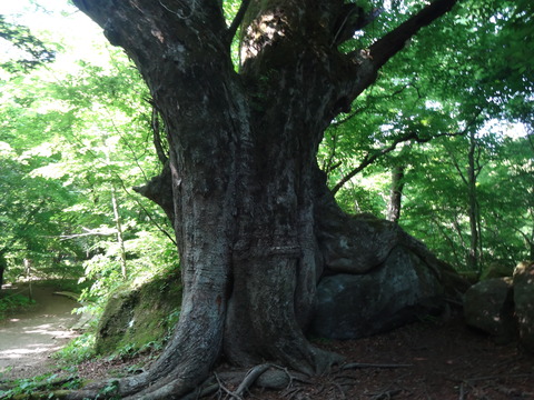 平治岳男池