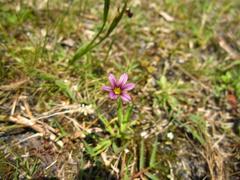 ˥良祦²ȡ10 (2).JPG