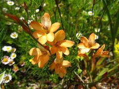 ȥȥ˥ 饯եꥢ '10 ² (1).JPG