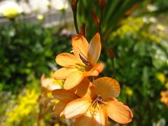 ȥȥ˥ 饯եꥢ '10 ² (2).JPG