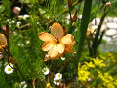 ȥȥ˥ 饯եꥢ '10 ² (3).JPG