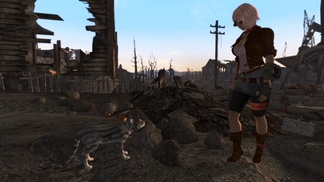 Fallout New Vegas 暇さえあればゲーム Fallout New Vegas 暇さえあればゲーム