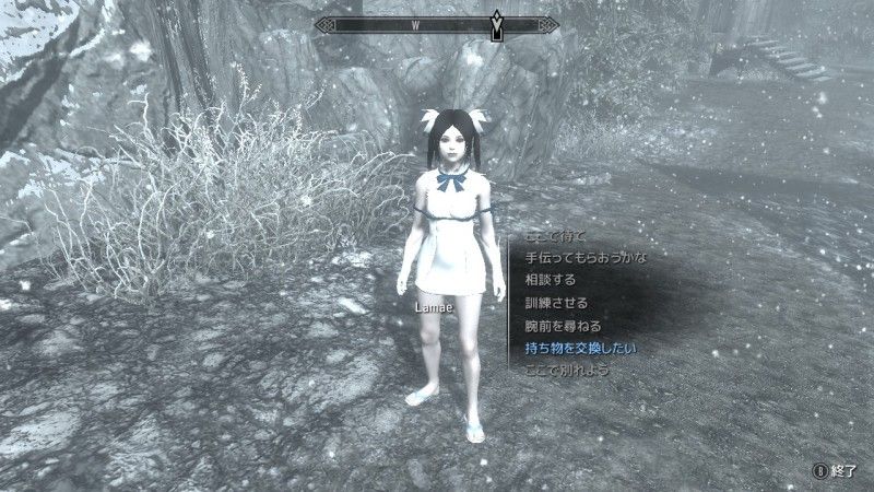 Skyrim 暇さえあればゲーム Skyrim 暇さえあればゲーム