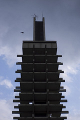 42a6eec9.jpg