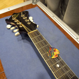 81d50626.jpg