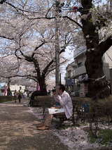 86173a43.jpg