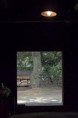 869bbd41.jpg