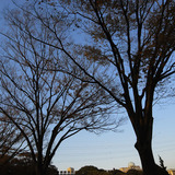 91f43573.jpg