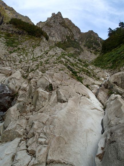 03-P9291296