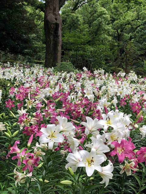 572BA931-FE4F-4971-938E-FAD2B19BB397