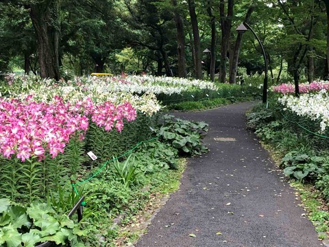 5C855BBC-AC55-4CFD-9680-1C09191849C0