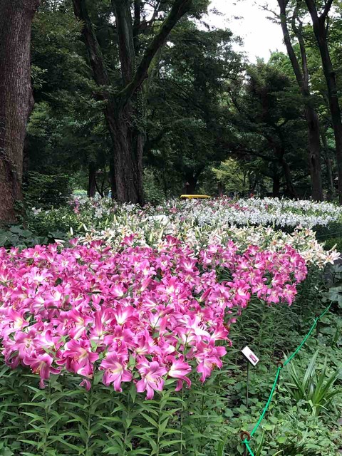 DD83676B-47D3-4D46-AEDA-C3FFBDD305A5