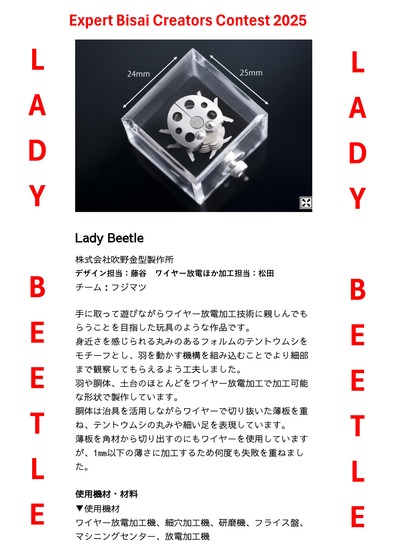 REDY_BEETLE_1