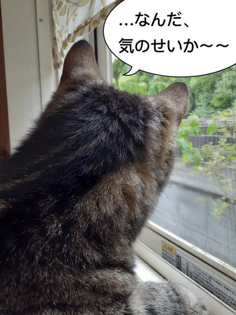 3DA84036-4367-413C-BA26-8CC87E66CEC9