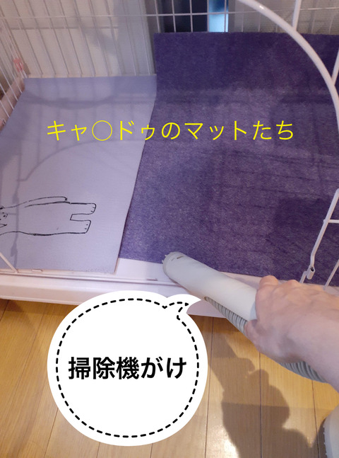 E6D984A7-1DD9-4F75-96C6-E5456E588A17