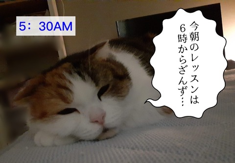 9C4E4575-128E-47B4-8B58-CEDC93D29F5F