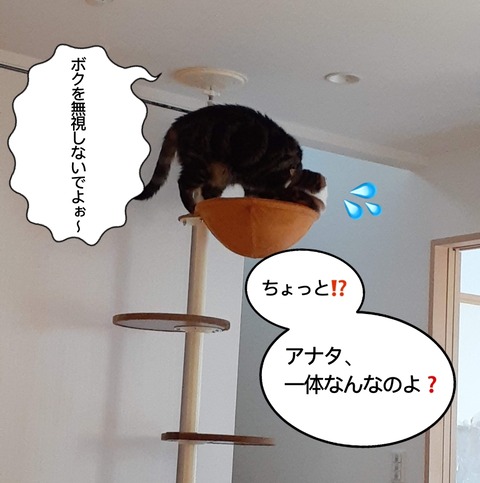 7B8C036F-C691-46BC-999E-CD6F8582C289