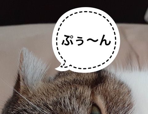 98482A3C-B64A-4C9D-91E9-47F924CB011E