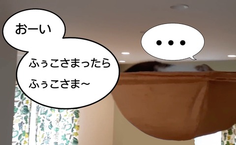 7EE27B90-4F83-4ED7-99B3-4355803E2212