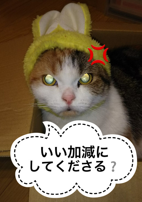 144214F8-3D53-438A-A152-A1BD63F557A1