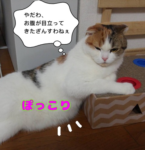 F4DF372C-9614-4795-A8C6-94AD4F6904B7