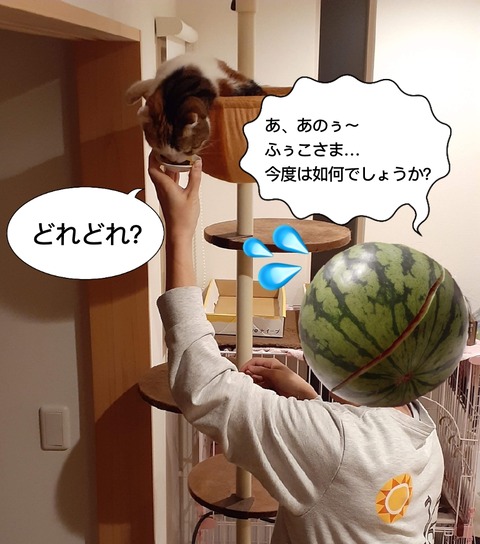 3656FC84-4285-4EE3-8CD1-57EE866C951A