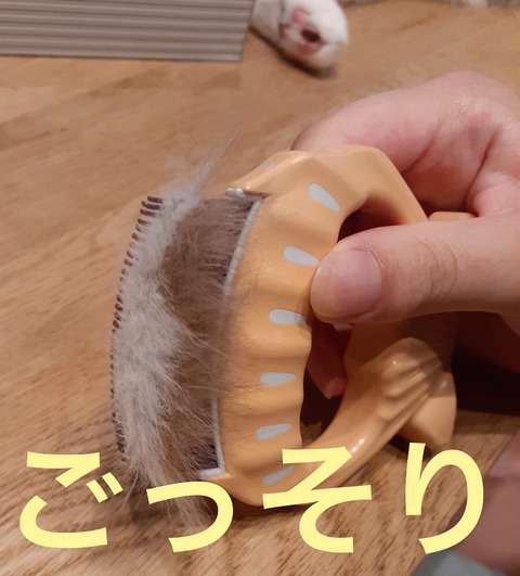 1FB1E04E-045F-4E88-B60F-C72092298CDE
