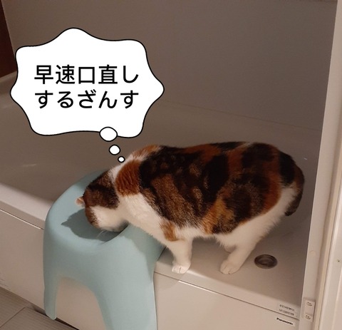 52760251-C558-47A5-9A7A-B59C9EF5FF17