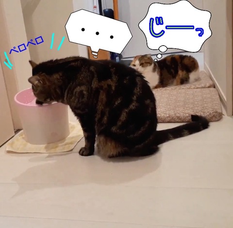 3C6472F1-4552-4713-947D-C898531D3886