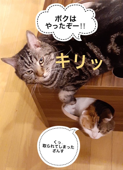 D5AE1C6E-5232-476D-8604-E52932EC58C0