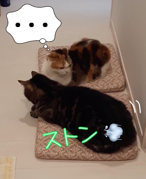 F54619B5-957E-463E-B614-FE853C9A3055