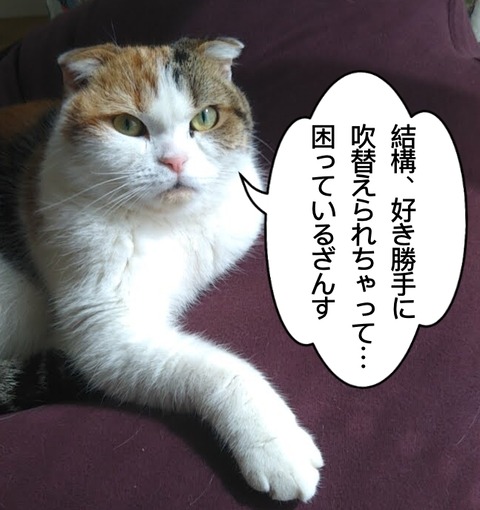 71A046AE-4BCC-4D19-8529-0716D131F8CD
