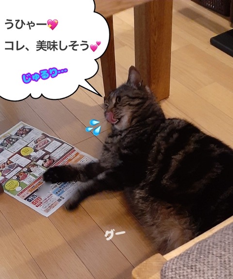 2DD3859D-4358-4B61-8A38-5E278FD498F6