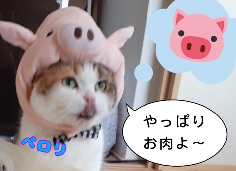 705D5603-359B-4C36-9BB7-14335617A82E