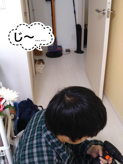 9C0CFA35-B1B1-497F-990D-8F022B17C766