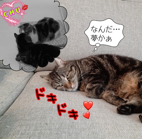 E6D4E3BD-A523-4BDE-B467-B7756ADF6641