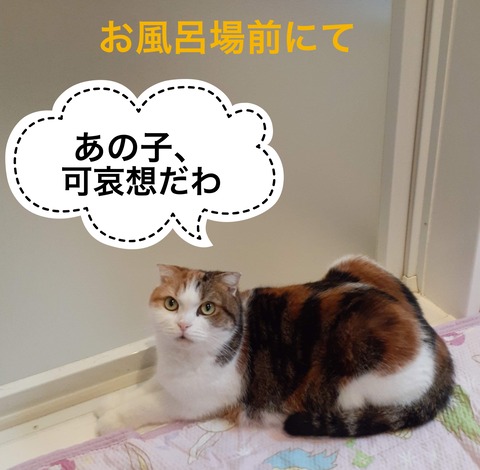 BD447121-4160-4801-A2AE-A0B14C6CBD82