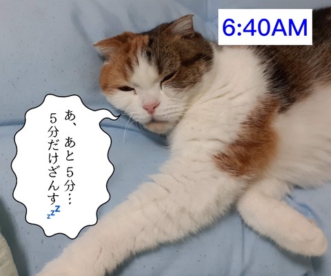 4F6D3559-FF70-4FD5-BEA0-AC9061CD4863