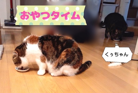 52EF29A9-15F0-49F0-A32E-412FE41E621E