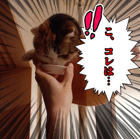 720CF002-26B1-4341-86DB-C3763DF36066